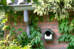 4124926-CJ905960119-CJ-Wildlife-Nistkasten-Holzbeton-Halbhoehlenbrueter.jpg