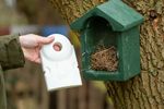 4124928-CJ905980119-CJ-Wildlife-Nistkasten-Holzbeton-32mm.jpg