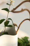 4125030-RA93073-raeder-Winterzauber-Vase-Goldvogel--15-3x8-9x24-2cm-_3.jpg