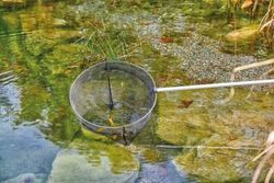 OASE107495-Fischkescher-gross.jpg OASE107495-Fischkescher-gross.jpg