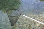 Fischkescher-gross.PNG