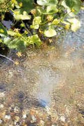 OASE106669-AquaOxy240.jpg OASE106669-AquaOxy240.jpg