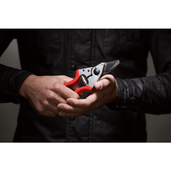 felco-6-2.png felco-6-2.png