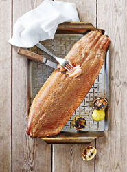 PP-Salmon.png PP-Salmon.png