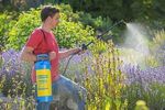 52512-GLORIA-Druckspruehgeraet-hobby-exclusiv-Anwendun_1.jpg
