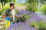 52512-GLORIA-Druckspruehgeraet-hobby-exclusiv-Anwendun_2.jpg