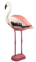 flamingo1.jpg flamingo1.jpg