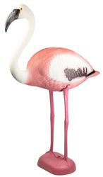 flamingo3.jpg flamingo3.jpg