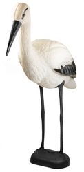 storch1schwarz.jpg storch1schwarz.jpg