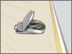 Rattenfalle-SuperCat-platzieren-02.jpg Rattenfalle-SuperCat-platzieren-02.jpg