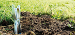 Classic-Wuehlmaus-Zangenfalle.PNG