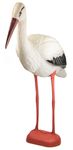 storch1.jpg