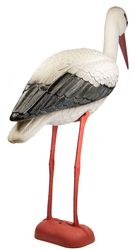 storch.jpg storch.jpg