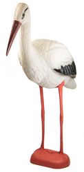 storch1.jpg storch1.jpg