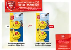 ProtectHome-Natria-Ameisen-Koederdose.jpg ProtectHome-Natria-Ameisen-Koederdose.jpg