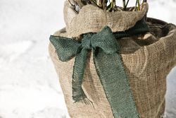 05851-jute-wickelstreifen-gruen-mit-06386-06397-0638.jpg 05851-jute-wickelstreifen-gruen-mit-06386-06397-0638.jpg