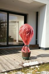 06065-Wintervlies-Protect-Deko-rot-2.jpg 06065-Wintervlies-Protect-Deko-rot-2.jpg