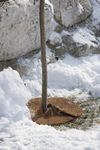 06556-06591-Mulchscheibe-Cocodisc.jpg