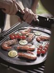 Weber-Bay-Wald-Genesis-E330-0271-EMEA-style.jpg
