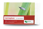 63940-EN1302025-nemaplus-SF-Nematoden-gegen-Trauermuecken-25-Mio-_1.png