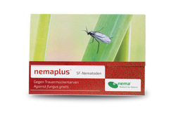 63940-EN1302025-nemaplus-SF-Nematoden-gegen-Trauermuecken-25-Mio-.png 63940-EN1302025-nemaplus-SF-Nematoden-gegen-Trauermuecken-25-Mio-.png