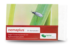63940-EN1302025-nemaplus-SF-Nematoden-gegen-Trauermuecken-25-Mio-_1.png 63940-EN1302025-nemaplus-SF-Nematoden-gegen-Trauermuecken-25-Mio-_1.png