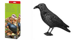 Natural-Control-Taubenabwehr-Rabe.PNG