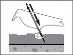 TAR-Anwendung-02.jpg
