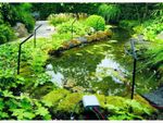 Pond-Protector-bij-vijver-lbox-800x600-F9F9F9.jpg