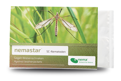 64641-EN1503010-nemastar-SC-Nematoden-gegen-Maulwurfsgrillen-10-Mio-_1.png 64641-EN1503010-nemastar-SC-Nematoden-gegen-Maulwurfsgrillen-10-Mio-_1.png