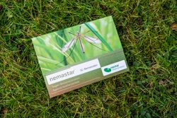 64643-EN1503025-nemastar-SC-Nematoden-gegen-Maulwurfsgrillen-25-Mio-.jpg 64643-EN1503025-nemastar-SC-Nematoden-gegen-Maulwurfsgrillen-25-Mio-.jpg