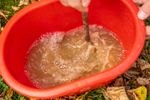 64645-EN1502010-nemapom-SF-Nematoden-gegen-Obstmaden-10-Mio-_2.jpg