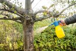 64645-EN1502010-nemapom-SF-Nematoden-gegen-Obstmaden-10-Mio-_3.jpg