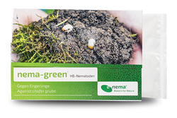 64648-EN1201050-nema-green-HB-Nematoden-gegen-Engerlinge-50-Mio-_1.png 64648-EN1201050-nema-green-HB-Nematoden-gegen-Engerlinge-50-Mio-_1.png