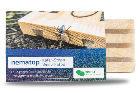 nematop Käfer-Stopp gegen adulte Dickmaulrüssler