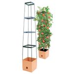 65557-BG-MT1Q-BioGreen-MAXITOM-Pflanzenturm-terracotta.jpg
