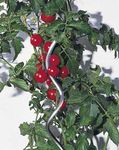 69264-05636-39-05642-Tomaten-Spiralstab-glanzverzinkt-An.jpg