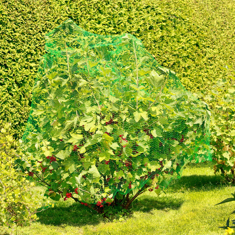 Vogelschutznetz Für Garten – 1,8 X 2,1 M, Mit Reißverschluss & Kordelzug, Schützt Obstbäume, Beerensträucher, Tomaten Uvm.