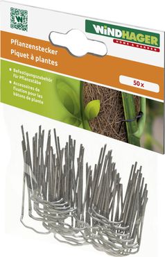 Windhager Pflanzenstecker, 50 Stück