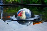 Floating-Fish-Sphere-1.jpg