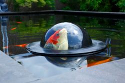 Floating-Fish-Sphere-1.jpg Floating-Fish-Sphere-1.jpg