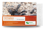 71087-EN1302110-nemaplus-Ameisenfrei-SF-Nematoden-gegen-Ameisen-10-Mio-_1.png