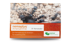 71087-EN1302110-nemaplus-Ameisenfrei-SF-Nematoden-gegen-Ameisen-10-Mio-.png 71087-EN1302110-nemaplus-Ameisenfrei-SF-Nematoden-gegen-Ameisen-10-Mio-.png