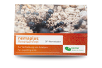 71088-EN1302150-nemaplus-Ameisenfrei-SF-Nematoden-gegen-Ameisen-50-Mio-.png