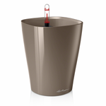 deltini-taupe.png