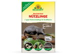 73088-NE01017-Neudorff-Nuetzlinge-fuer-Grossflaechen.png