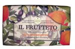 6641-04-IL-FRUTTETO-olive-und-tangerine.jpg