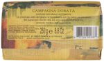 esti-Dante-Emozioni-in-Toscana--Campagna-dorata-2_1.jpg