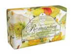 6651-03-Romantica-Narzisse-Kopie.jpg