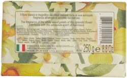 Nesti-Dante-Romantica--Lily-und-Narcissus-250g-hint.jpg Nesti-Dante-Romantica--Lily-und-Narcissus-250g-hint.jpg